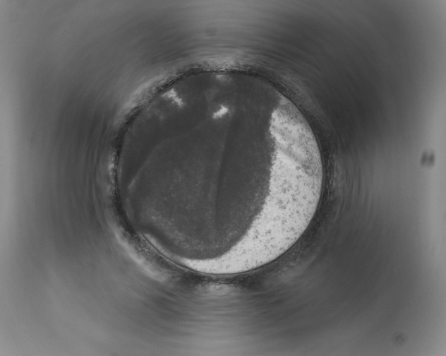 X0000112860590200909181803