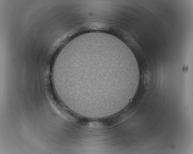 X0000112860591200909181803