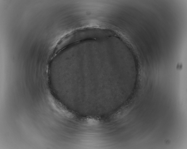 X0000112860592200909181803