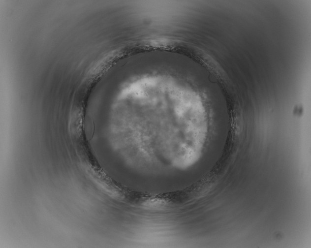 X0000112860593200909181803