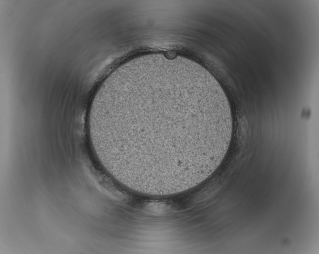 X0000112860596200909181803