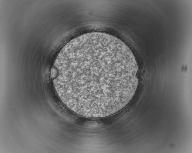 X0000112860597200909181803