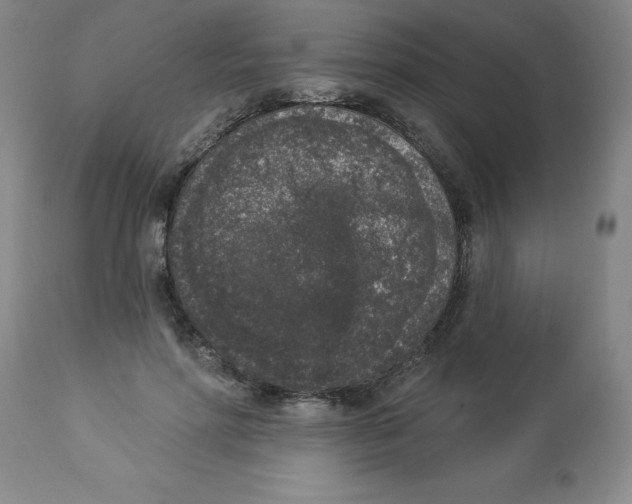 X0000112860598200909181803