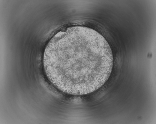 X0000112860600200909181803