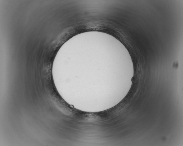 X0000112860601200909181803