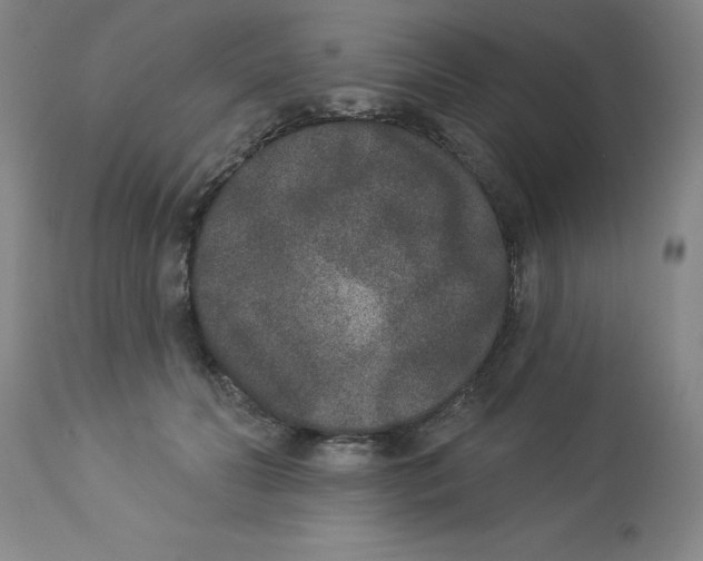 X0000112860606200909181802