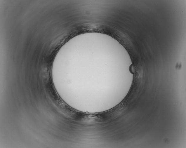 X0000112860607200909181802