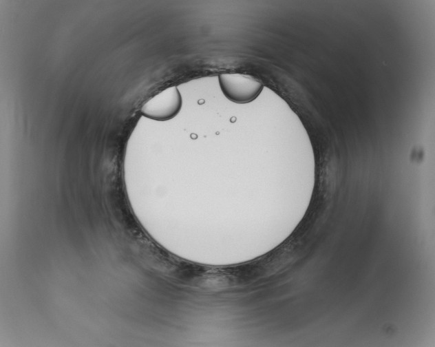 X0000112860608200909181802