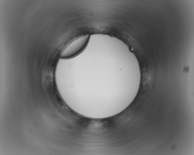 X0000112860613200909181802