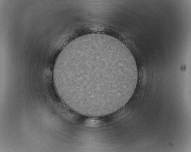 X0000112860614200909181802