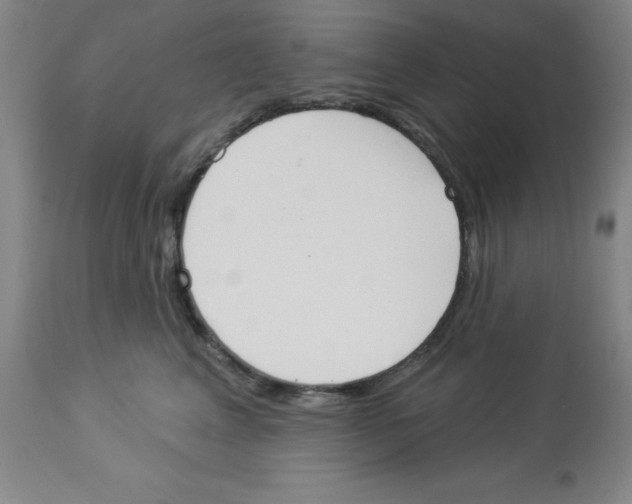 X0000112860617200909181802