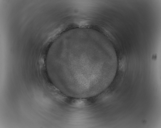 X0000112860618200909181802