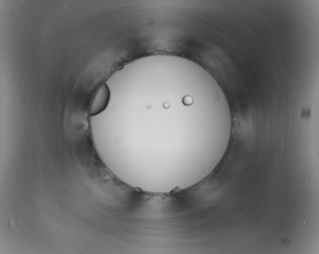 X0000112860621200909181802