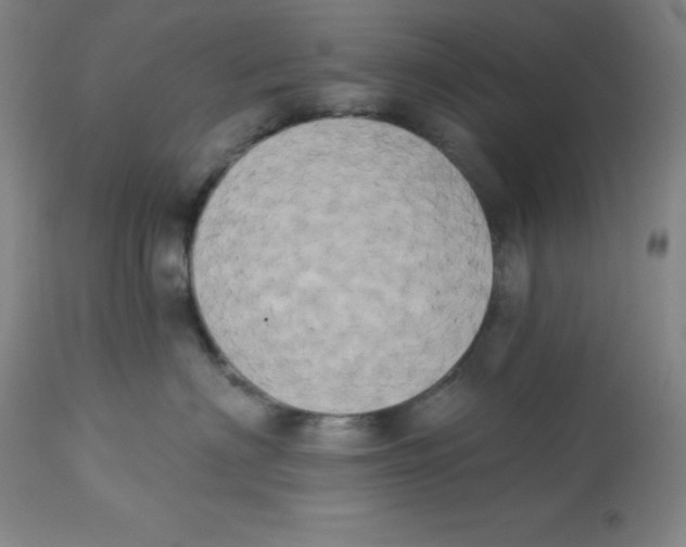 X0000112860622200909181802