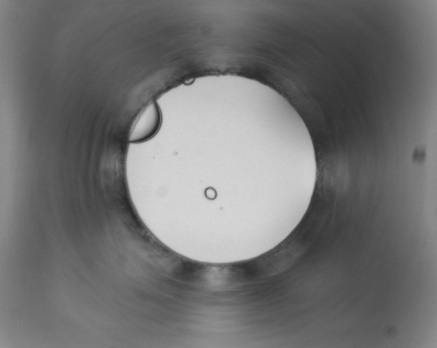 X0000112860623200909181802