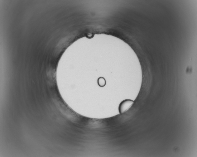 X0000112860624200909181802