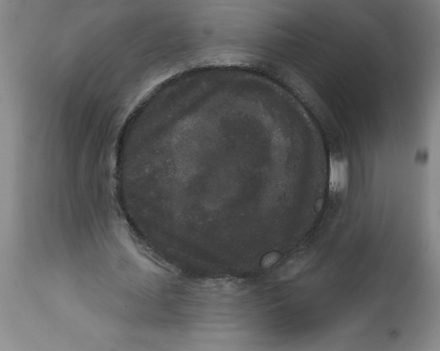 X0000112860627200909181801