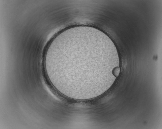 X0000112860630200909181802