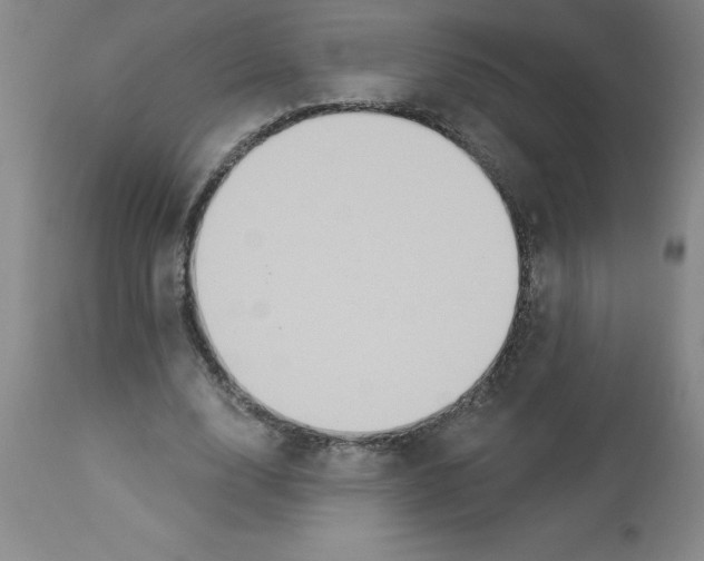 X0000112860632200909181802
