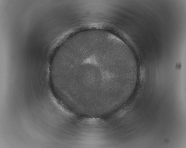 X0000112860637200909181802