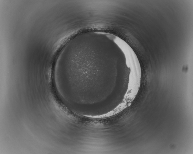 X0000112860640200909181802