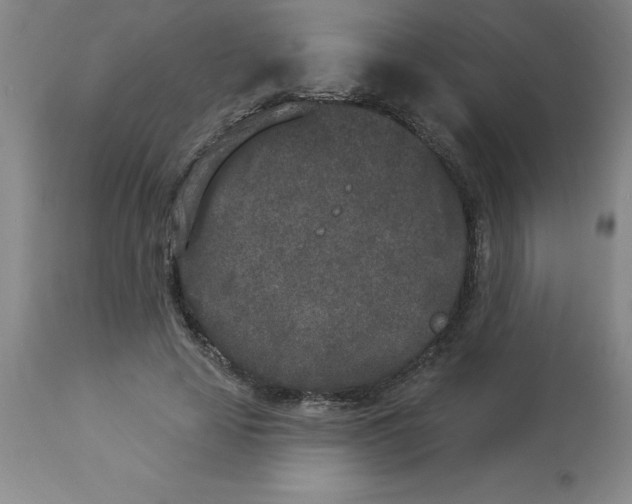 X0000112860641200909181802