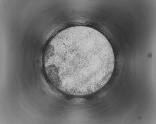 X0000112860642200909181802