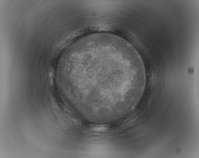 X0000112860643200909181802