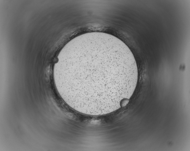 X0000112860647200909181802