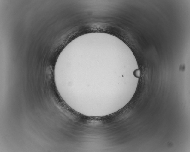 X0000112860649200909181802