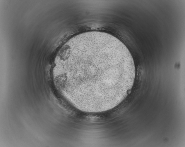 X0000112860650200909181802