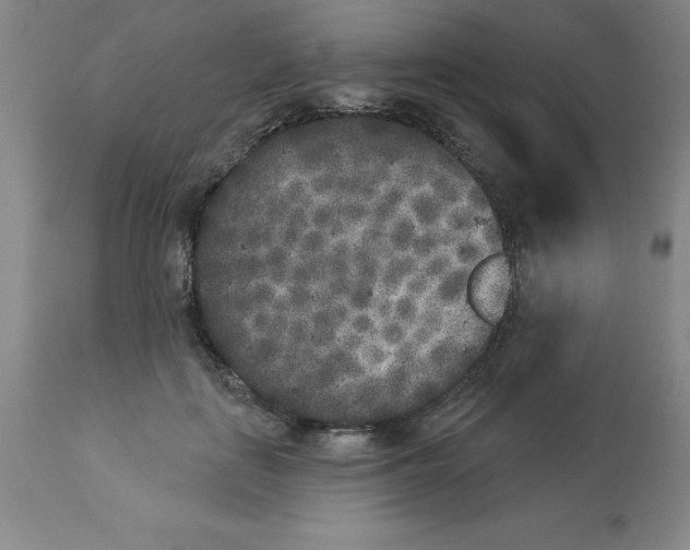 X0000112860651200909181802