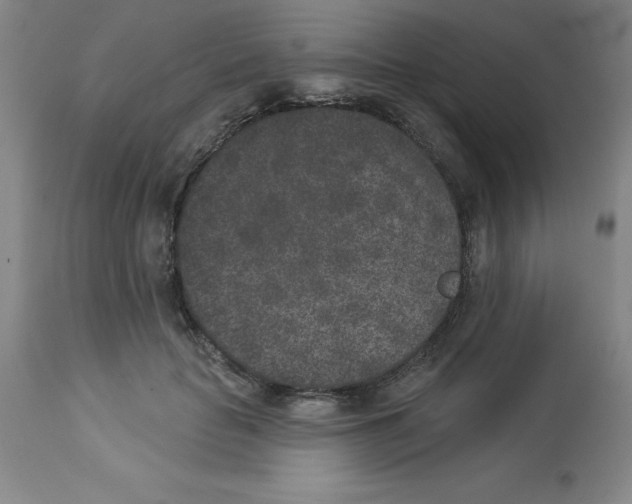 X0000112860653200909181802