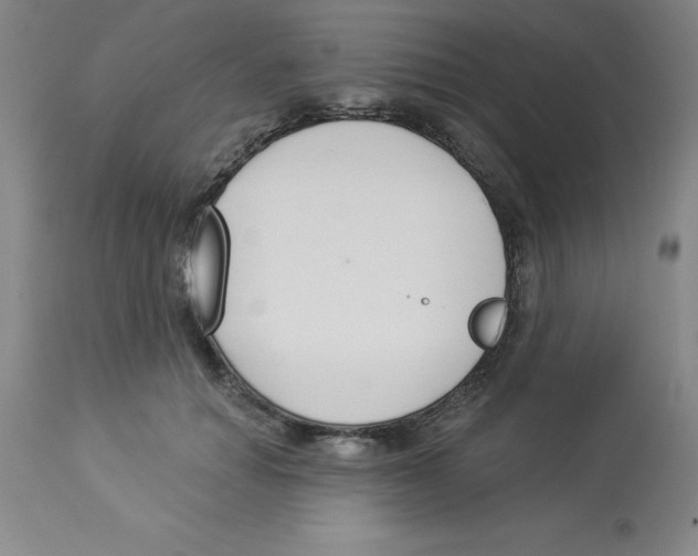 X0000112860654200909181802