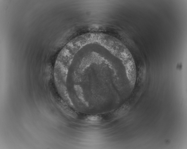 X0000112860659200909181802