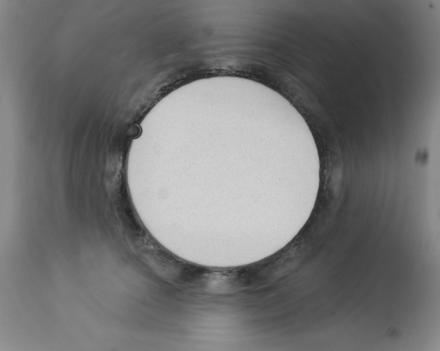 X0000112860660200909181802