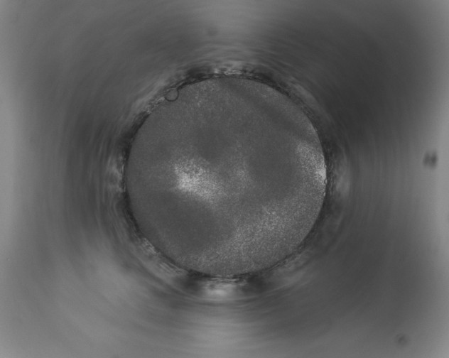 X0000112860661200909181802
