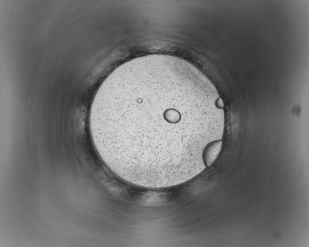 X0000112860664200909181802