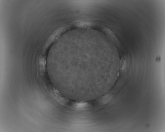 X0000112860669200909181802