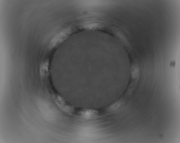 X0000112860670200909181802
