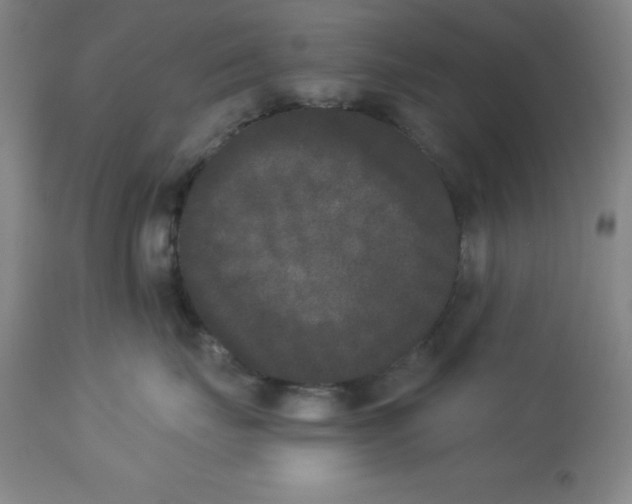 X0000112860671200909181802