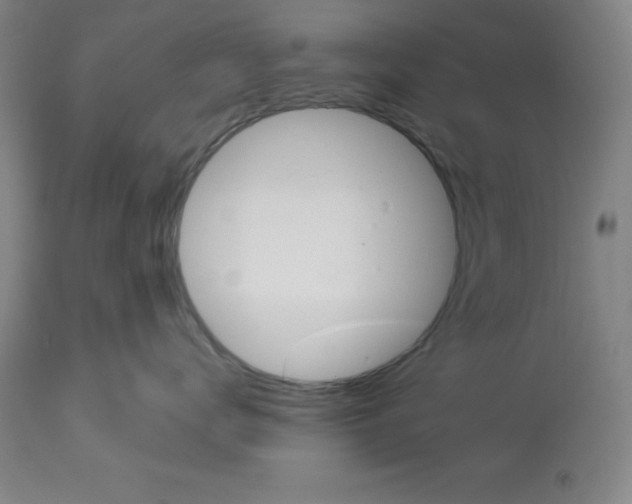 X0000112860672200909181802