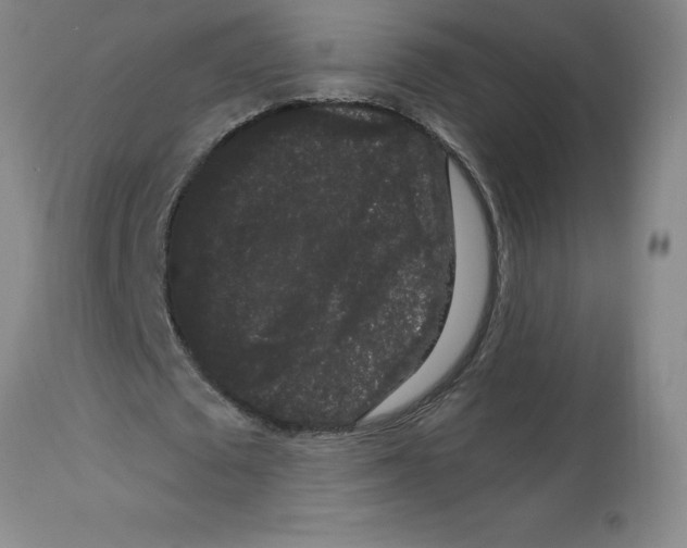 X0000112860673200909181801