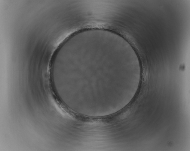 X0000112860674200909181801