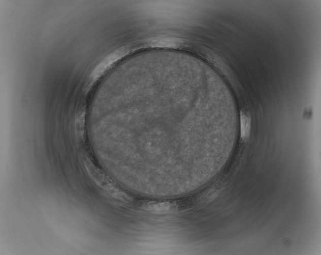 X0000112860675200909181801