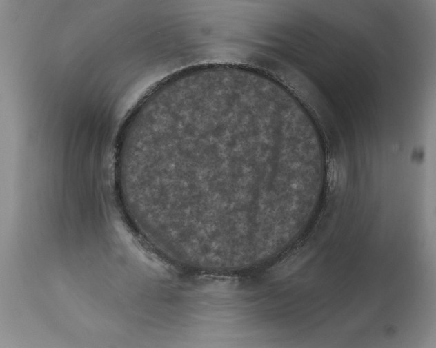 X0000112860676200909181801