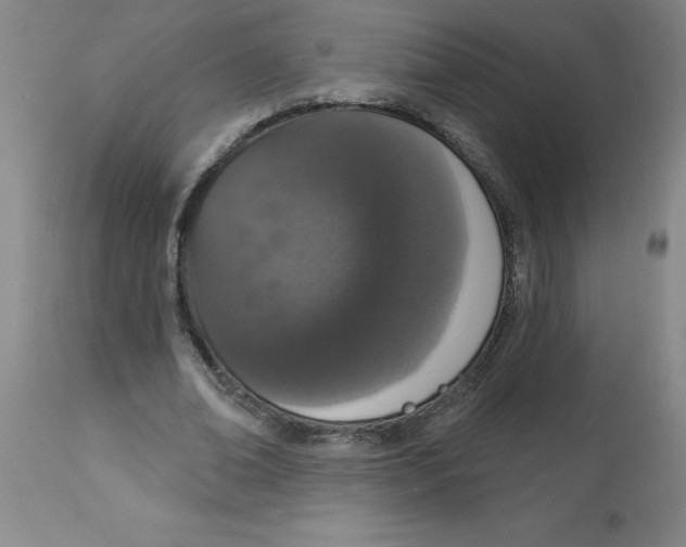 X0000112860678200909181801