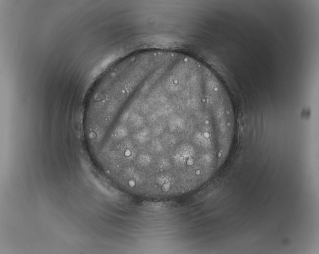 X0000112860679200909181801