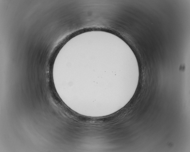 X0000112860680200909181801