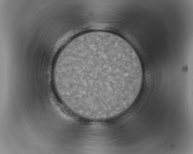 X0000112860682200909181801